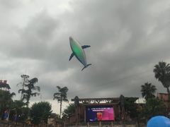 -重庆海昌加勒比海水世界