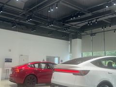 -TESLA 特斯拉(深圳观澜特斯拉直营钣喷中心)