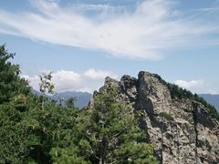 -牛背梁国家森林公园