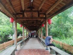 -金山公园