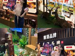 -甘肃国际会展中心