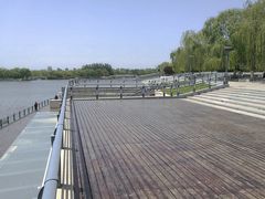 -大兴滨河森林公园