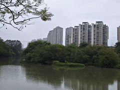 -金山公园