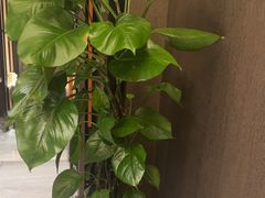 -锦庐道地川菜(来福士店)