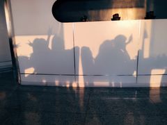 -云中小雅