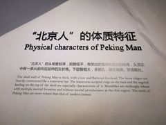 -北京周口店北京人遗址博物馆