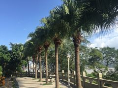 -船政文化景区-罗星塔公园