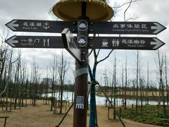 -上海长兴岛郊野公园