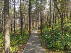 -白草畔自然风景区