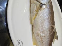 -吴记富苑(朝阳店)