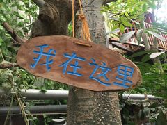 -呀路古热带植物园