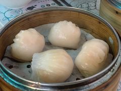 虾饺-点点心点心专门店(湾仔店)