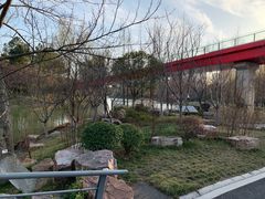 -青枫公园