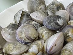 蛤蜊-吉友粥底火锅(方斜路店)