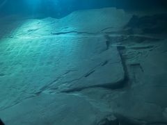 -白鹤梁水下博物馆