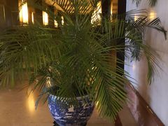 -大榭国际大酒店