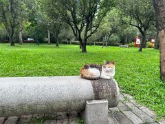 -广州珠江公园