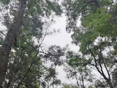 -森林公园(尖草坪区)