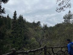 -梭布垭石林景区