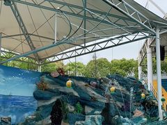 -上海野生动物园