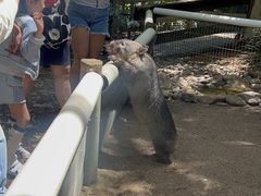 -费瑟代尔野生动物园