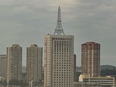 -紫峰大厦