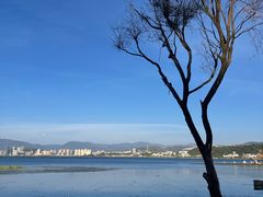 -洱海月湿地公园