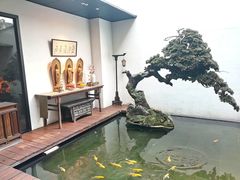 -觀芷隐轩