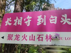 -峡谷浮石林景区