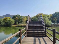 -杭州湾海上花田景区