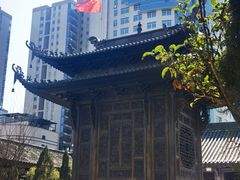 -真庆观