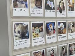 -御宝贝24h宠物医院·转诊中心·CT核磁血透中心(厦门总院)