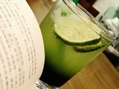 绿too&nbsp;much&nbsp;green-月球咖啡retro