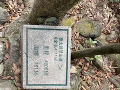 -梧桐山风景名胜区