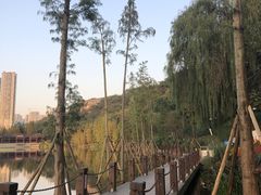 -重庆彩云湖湿地公园