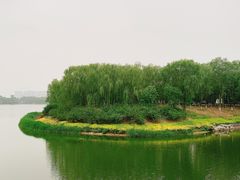 -大兴滨河森林公园