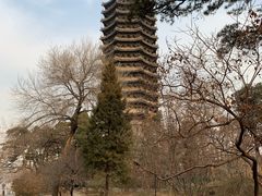 景点-博雅塔