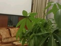-龙悦·澜泊湾SPA养生中心
