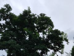 景点-沈阳中山公园