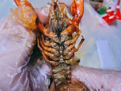 -虾恋蛤蟆功