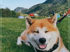 -玉渡山自然风景区