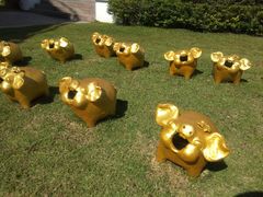 -清迈夜间动物园