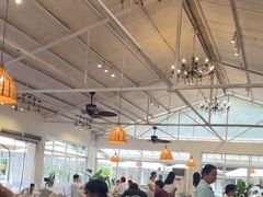 -芭厘农庄老字号·清远鸡