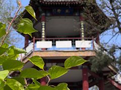 -莲花池公园