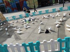 -大族广场Mall&More