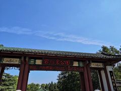 -百脉泉景区