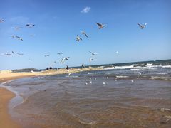 -老虎石海上公园