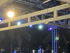 -渔家火锅·海鲜自助餐·演艺(亚龙湾天域酒店)