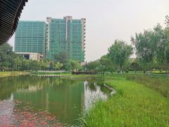 -西海子公园