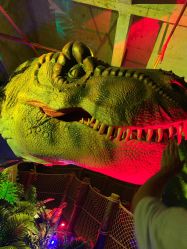 -恐龙探索乐园(磁器口店)